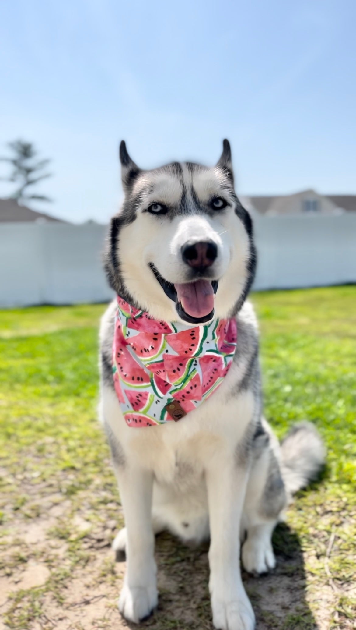 Beach Vibes and Watermelon