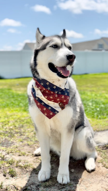 Stars Stripes and Popsicles